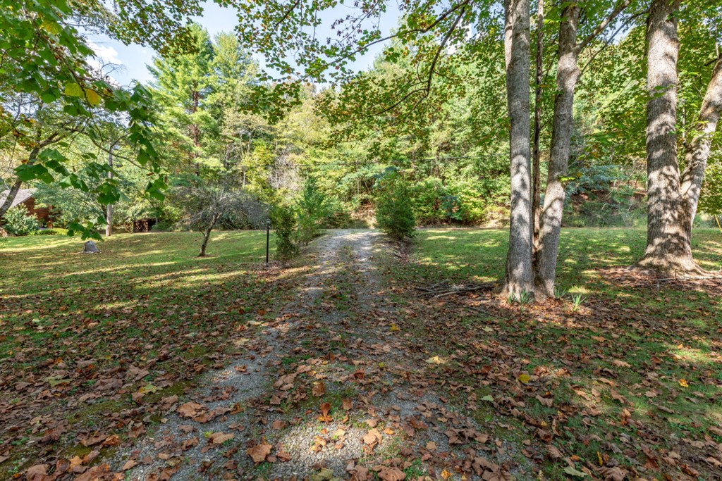 Lot 4,5 The Preserve On Nottely River