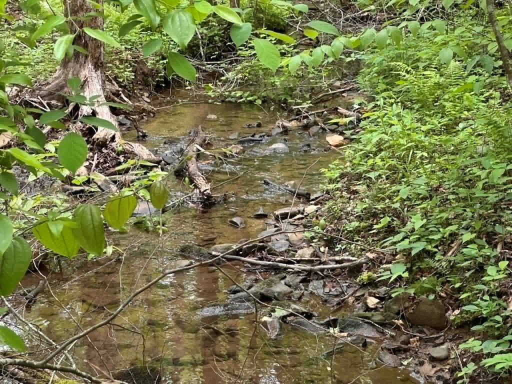 TR 1 Pleasant Hill Trail