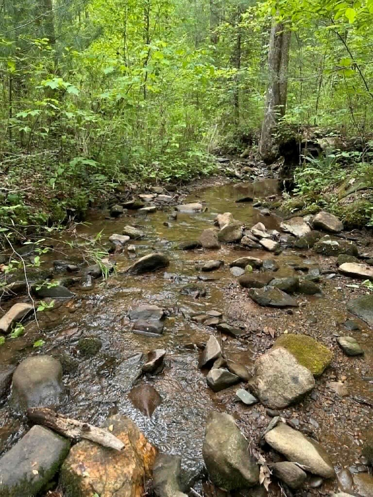 TR 1 Pleasant Hill Trail