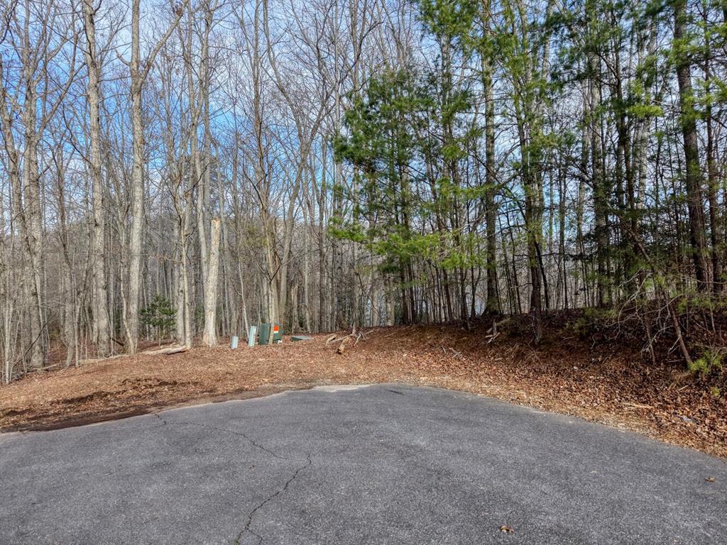 Lot 10 Oak Pointe Drive