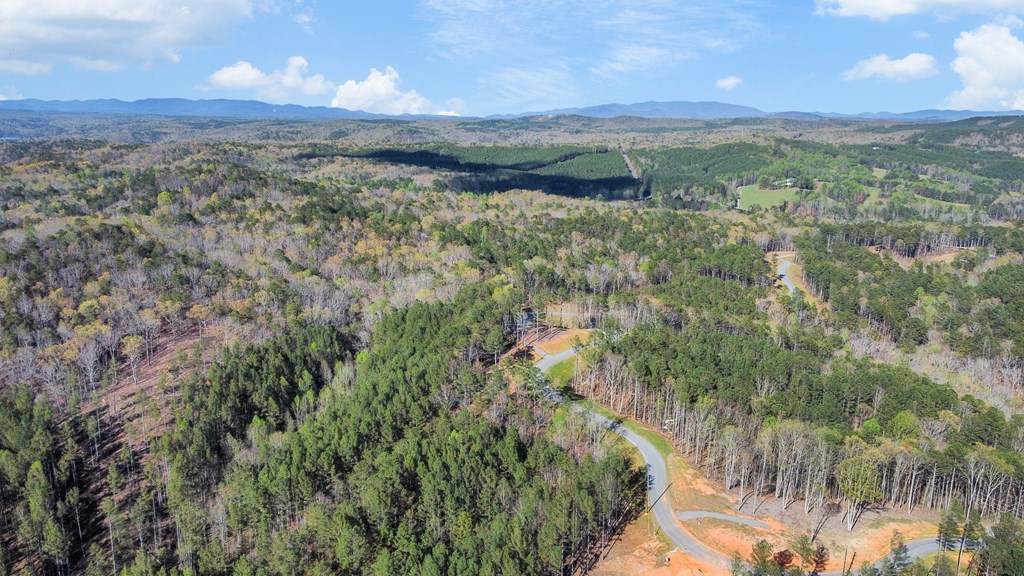 Lot 103 Blalock Mountain Road