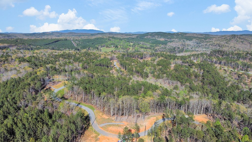Lot 103 Blalock Mountain Road