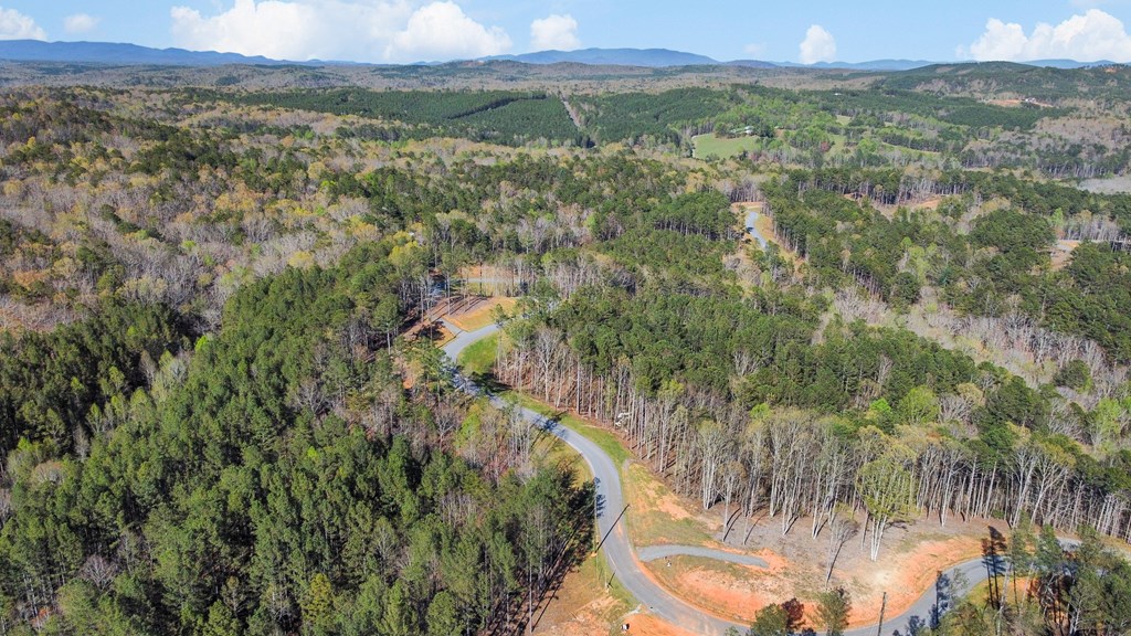 Lot 103 Blalock Mountain Road