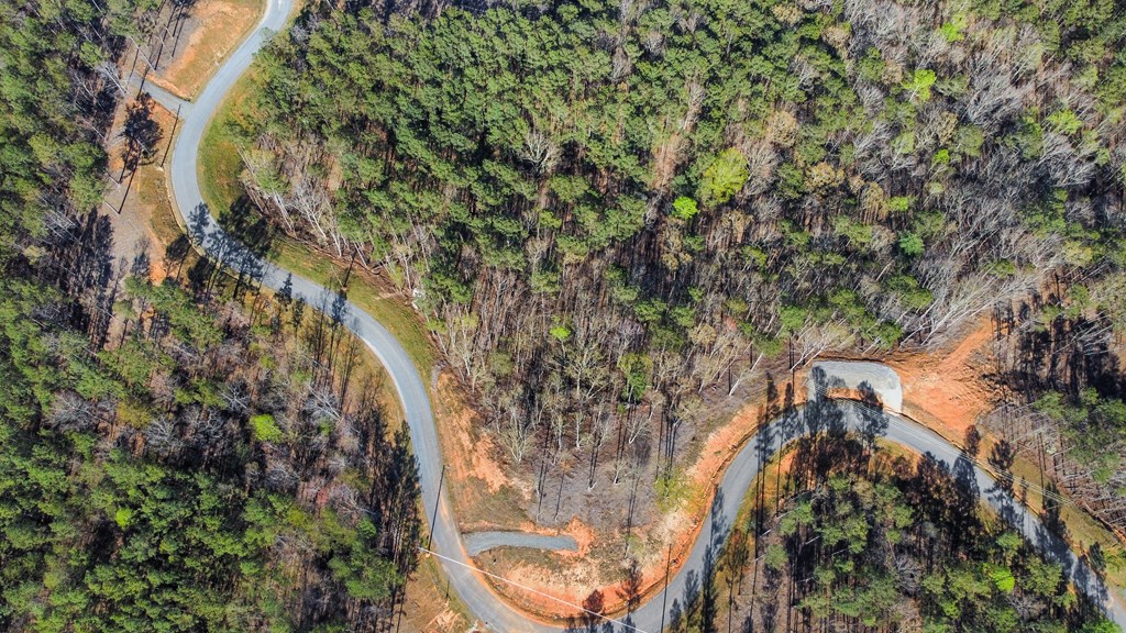 Lot 103 Blalock Mountain Road