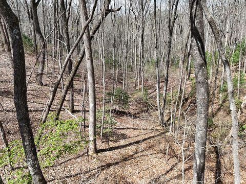 L129/124 Laurel Crossing Blue Ridge GA 30513