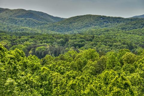 A home in Blue Ridge