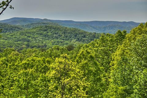 A home in Blue Ridge