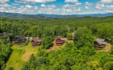 A home in Blue Ridge