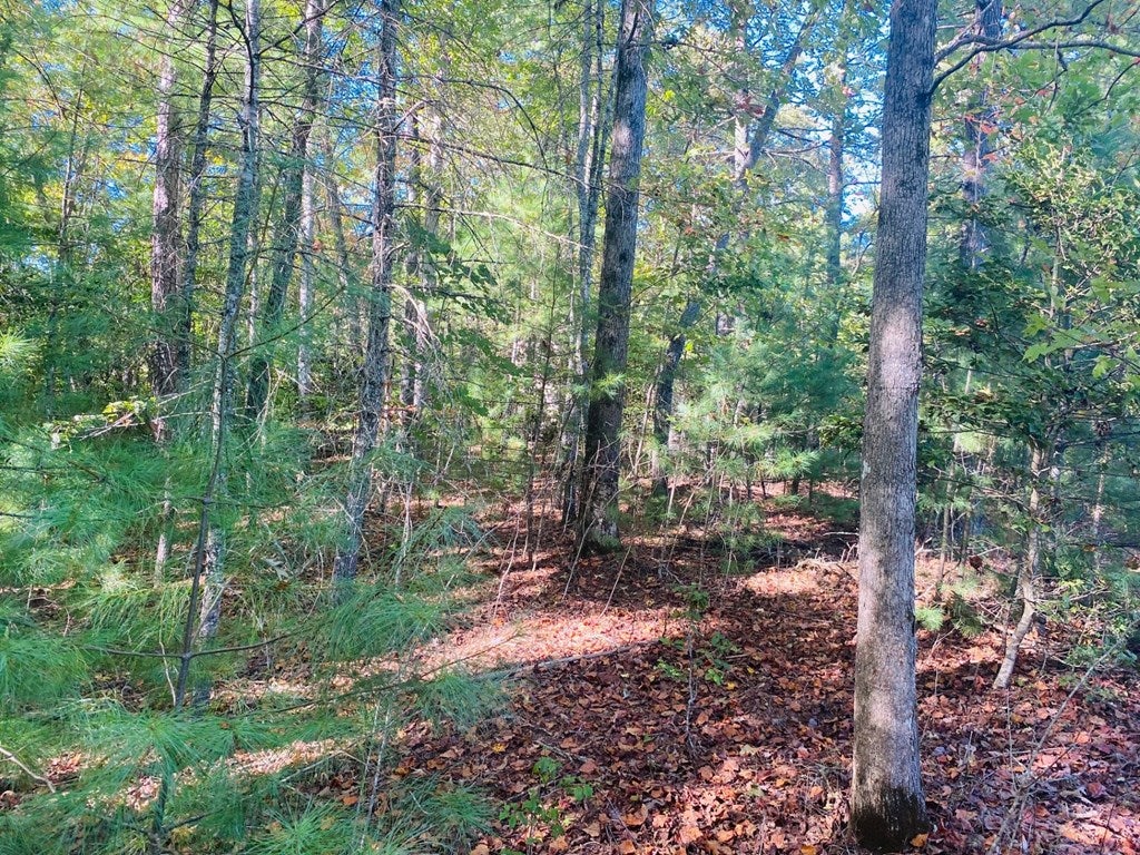 0 Point Overlook Trail