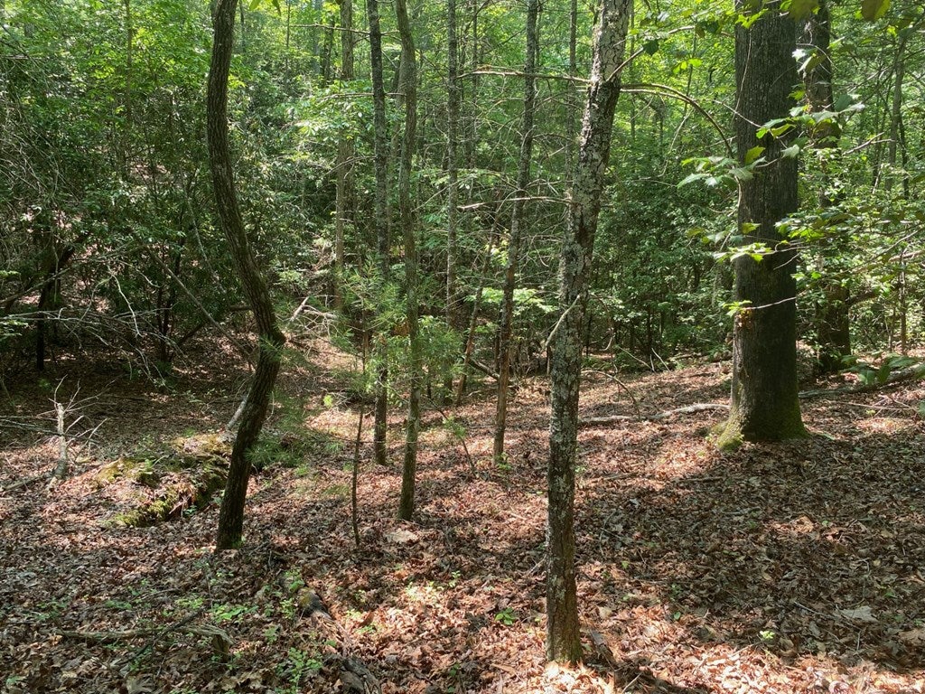 0 Point Overlook Trail