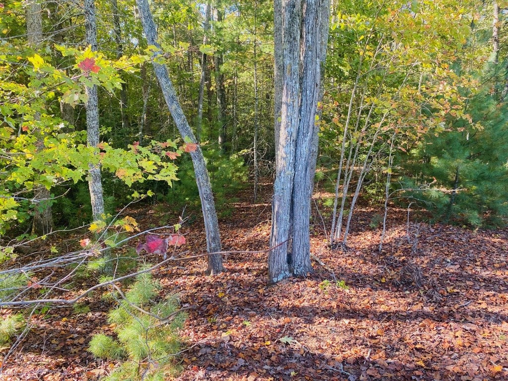0 Point Overlook Trail