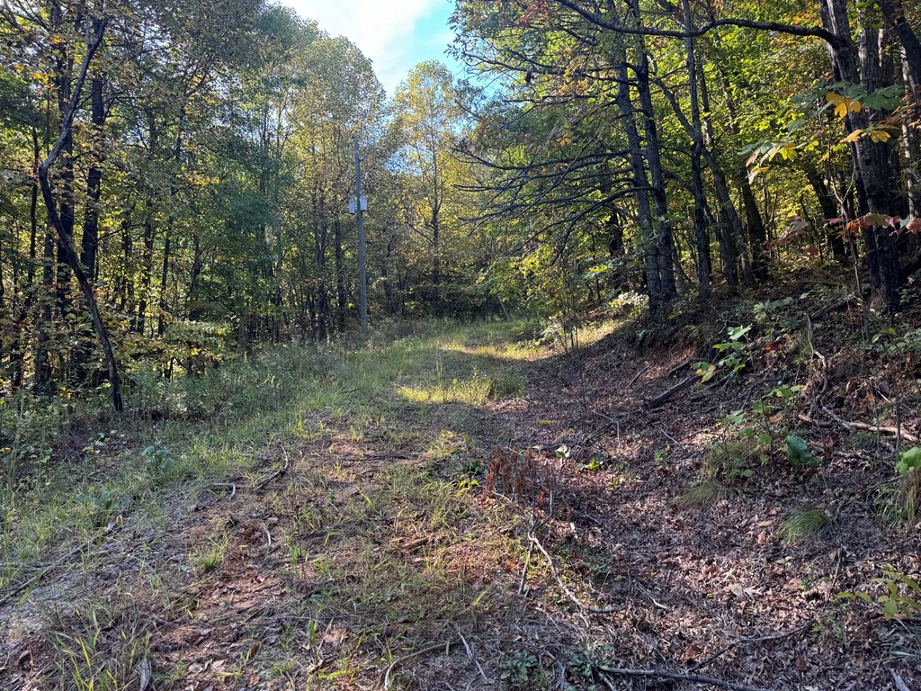13.57 Ac Burnt Mountain Cove Road