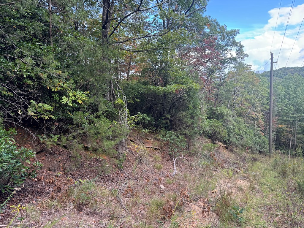 13.57 Ac Burnt Mountain Cove Road