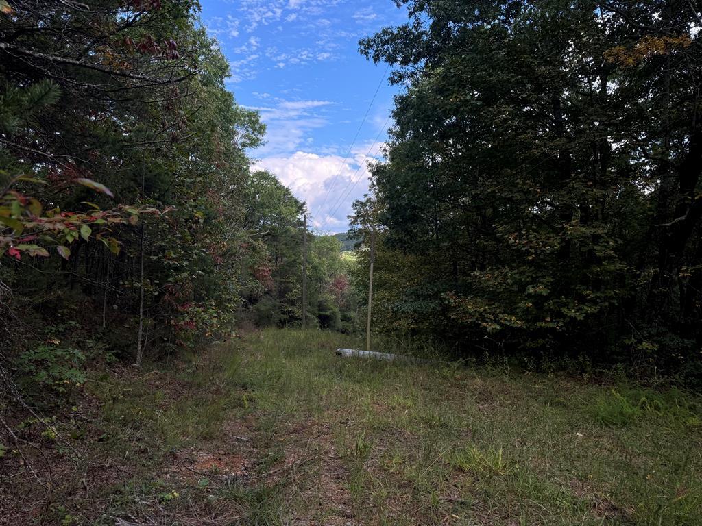 13.57 Ac Burnt Mountain Cove Road