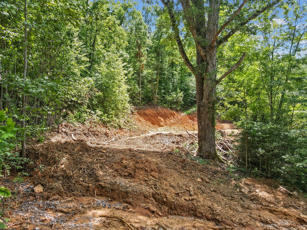 4.81 AC Tom Wheeler Road