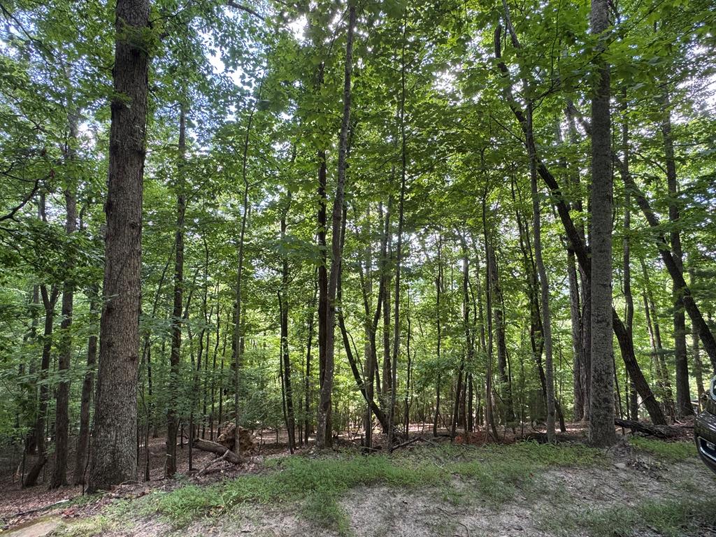 Lot 37 Picklesimer Mountain