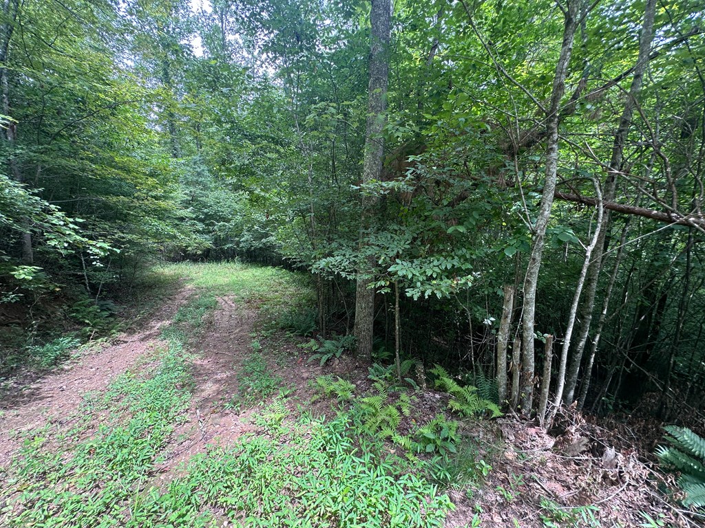 Lot 40 Wolf Creek Estates