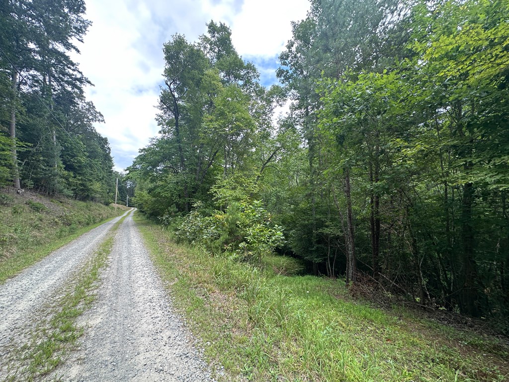 Lot 40 Wolf Creek Estates