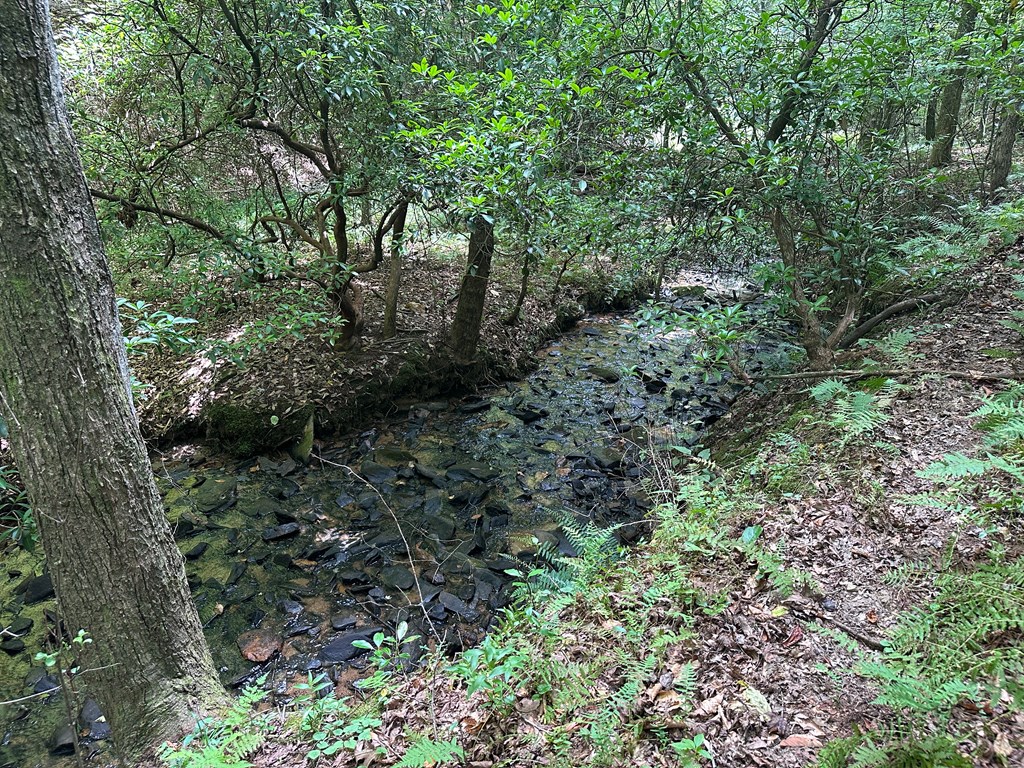 Lot 40 Wolf Creek Estates