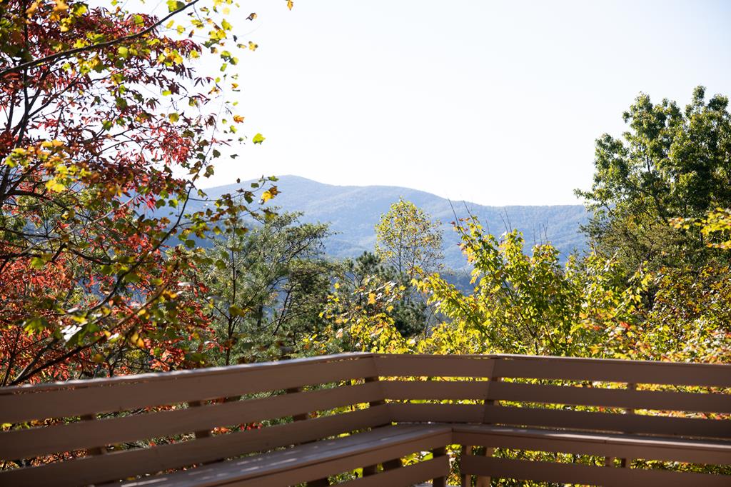 1427 Cherry Lake Drive