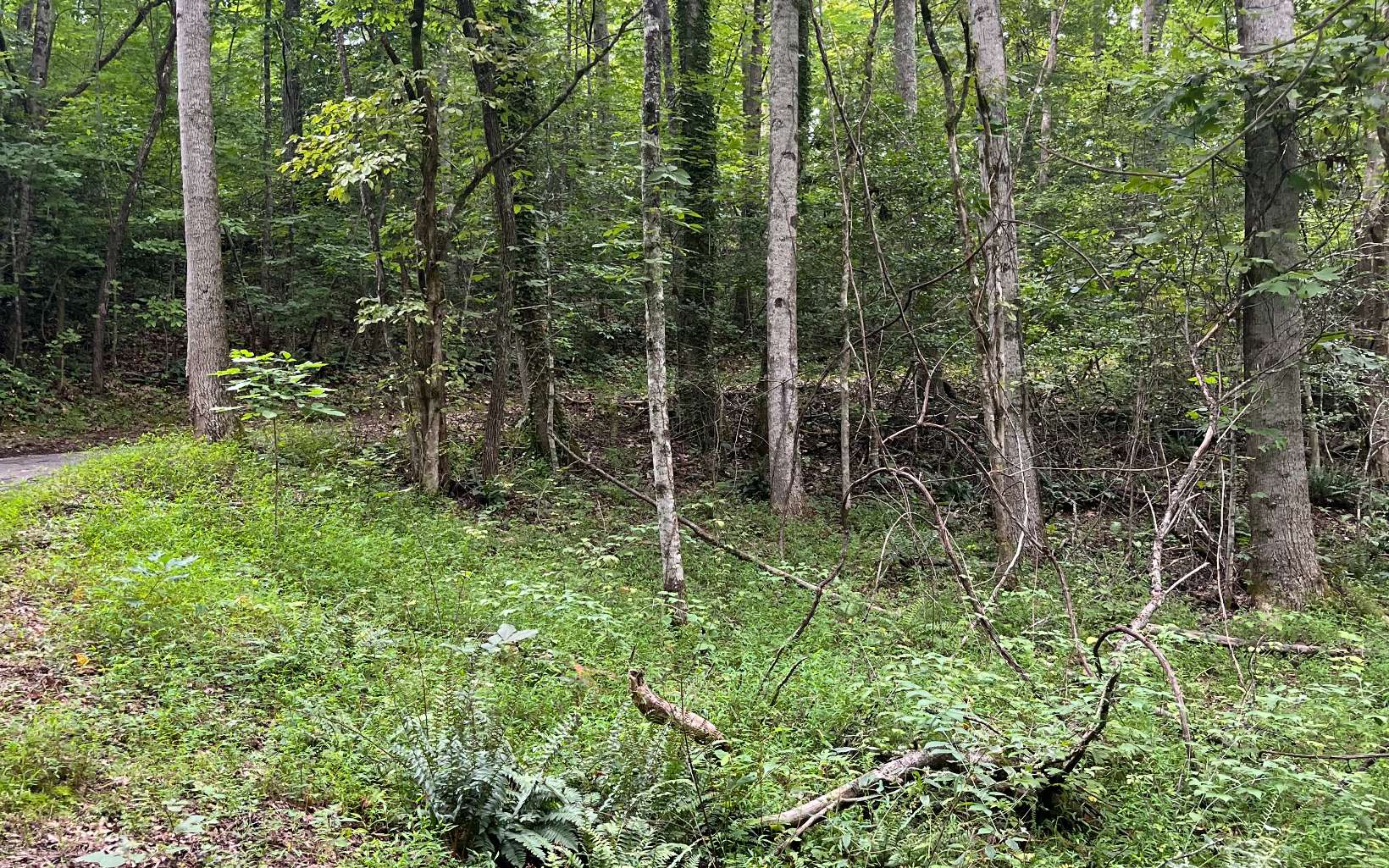 LOT 12 Kilpatrick Point Terrace