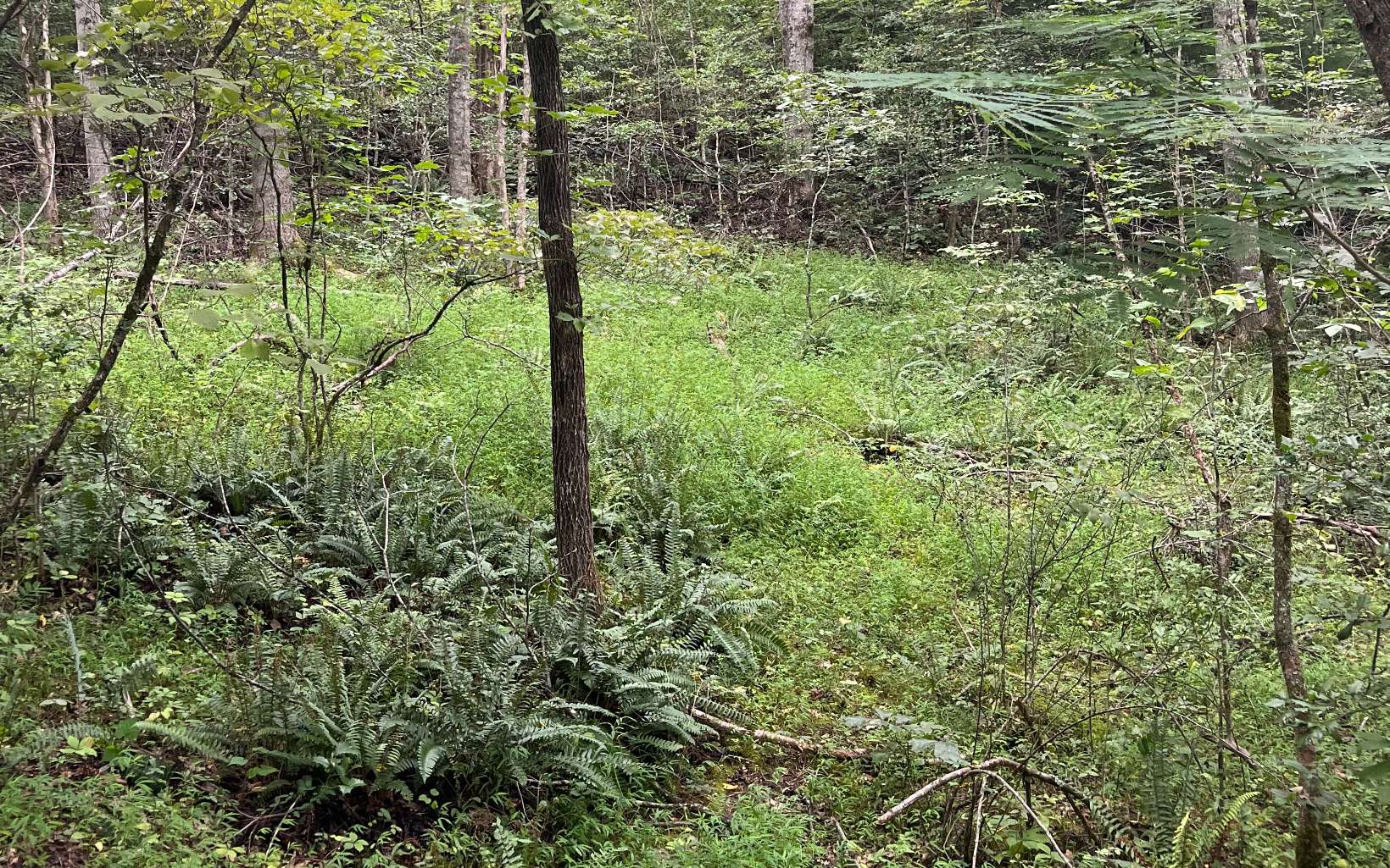 LOT 12 Kilpatrick Point Terrace