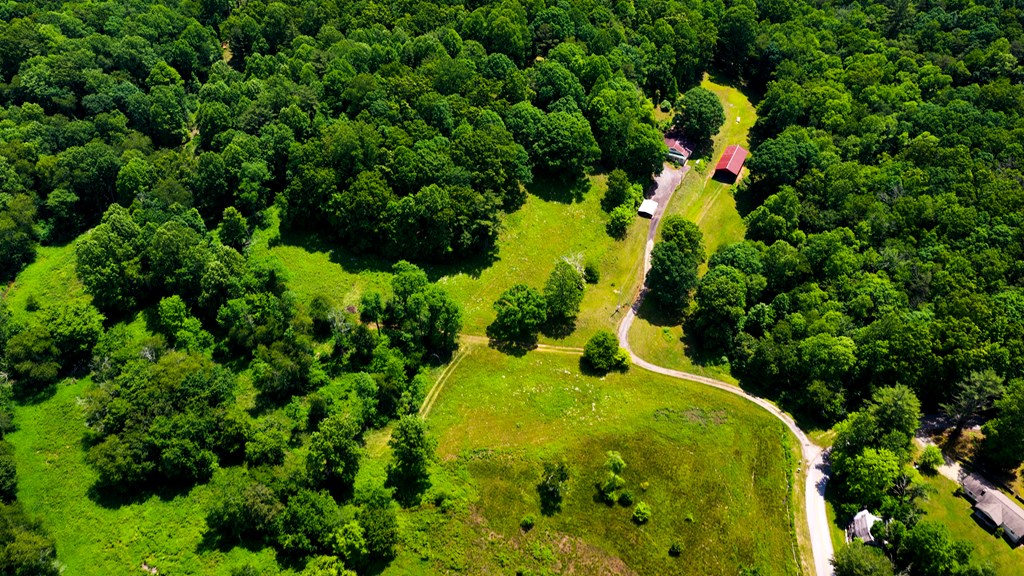 239 Glenn Elliott Road