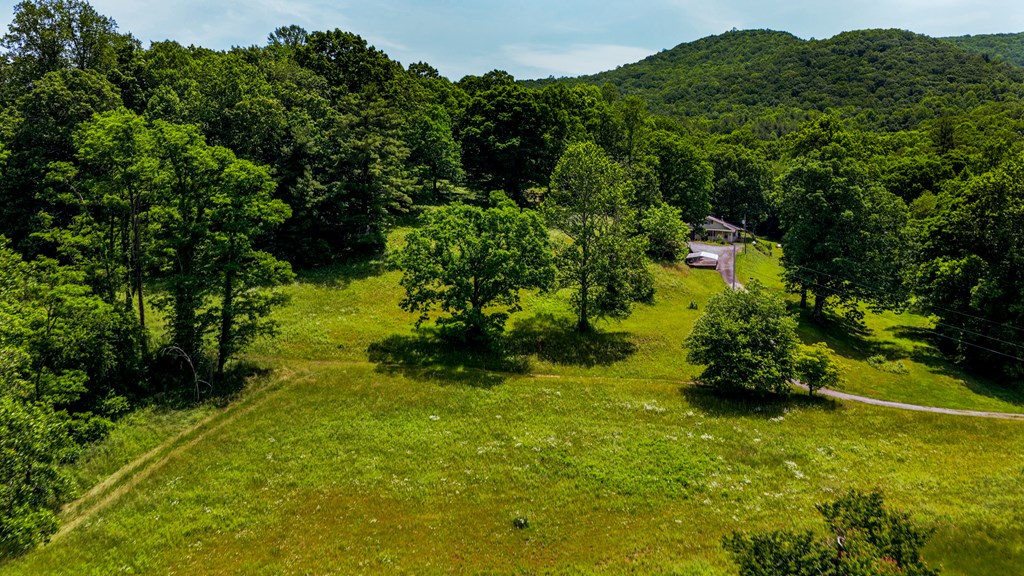 239 Glenn Elliott Road