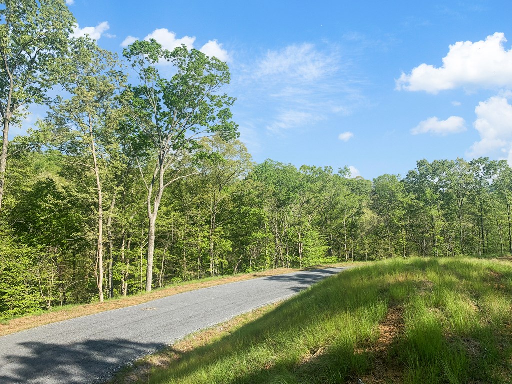 Ellijay, Georgia 30540, United States, ,Land,Active,59353