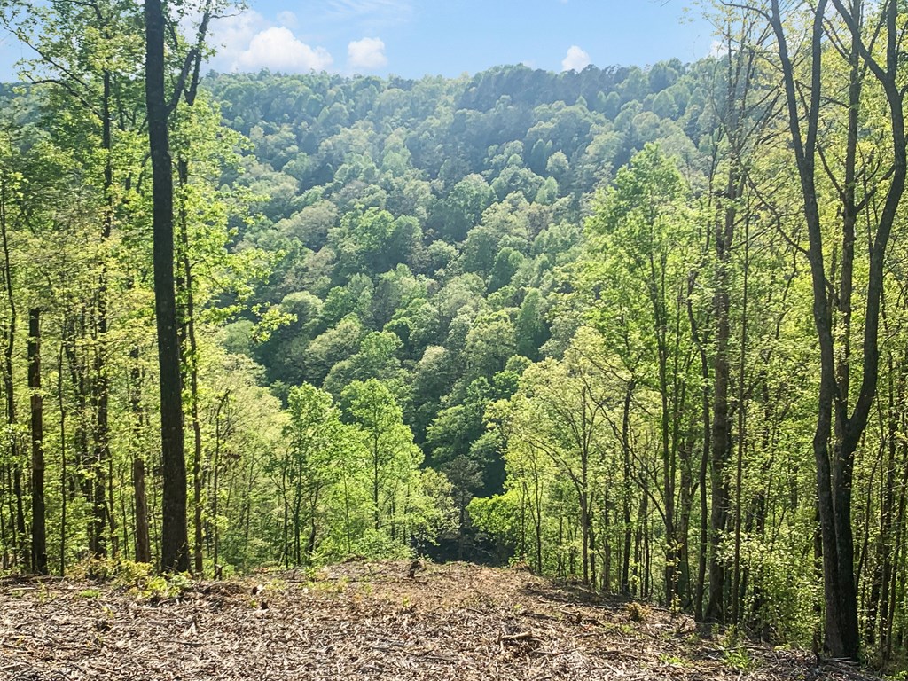 Ellijay, Georgia 30540, United States, ,Land,Active,59353