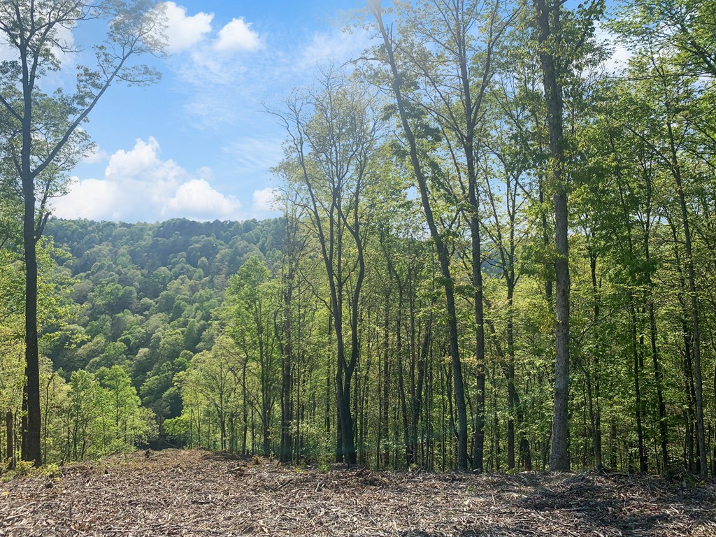Ellijay, Georgia 30540, United States, ,Land,Active,59353