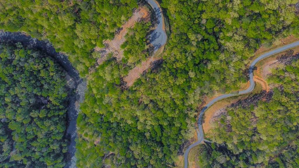 Ellijay, Georgia 30540, United States, ,Land,Active,59353