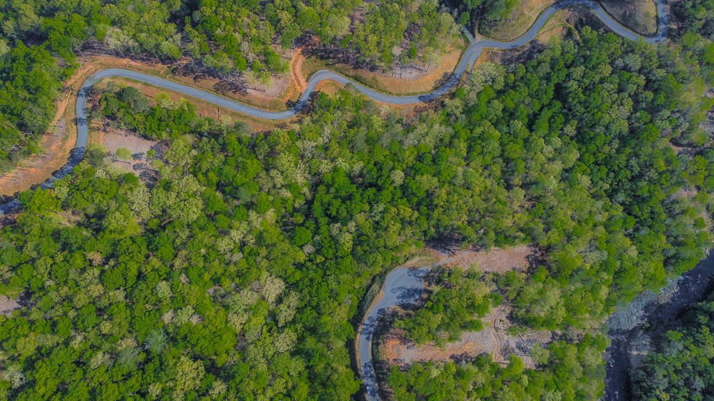 Ellijay, Georgia 30540, United States, ,Land,Active,59353