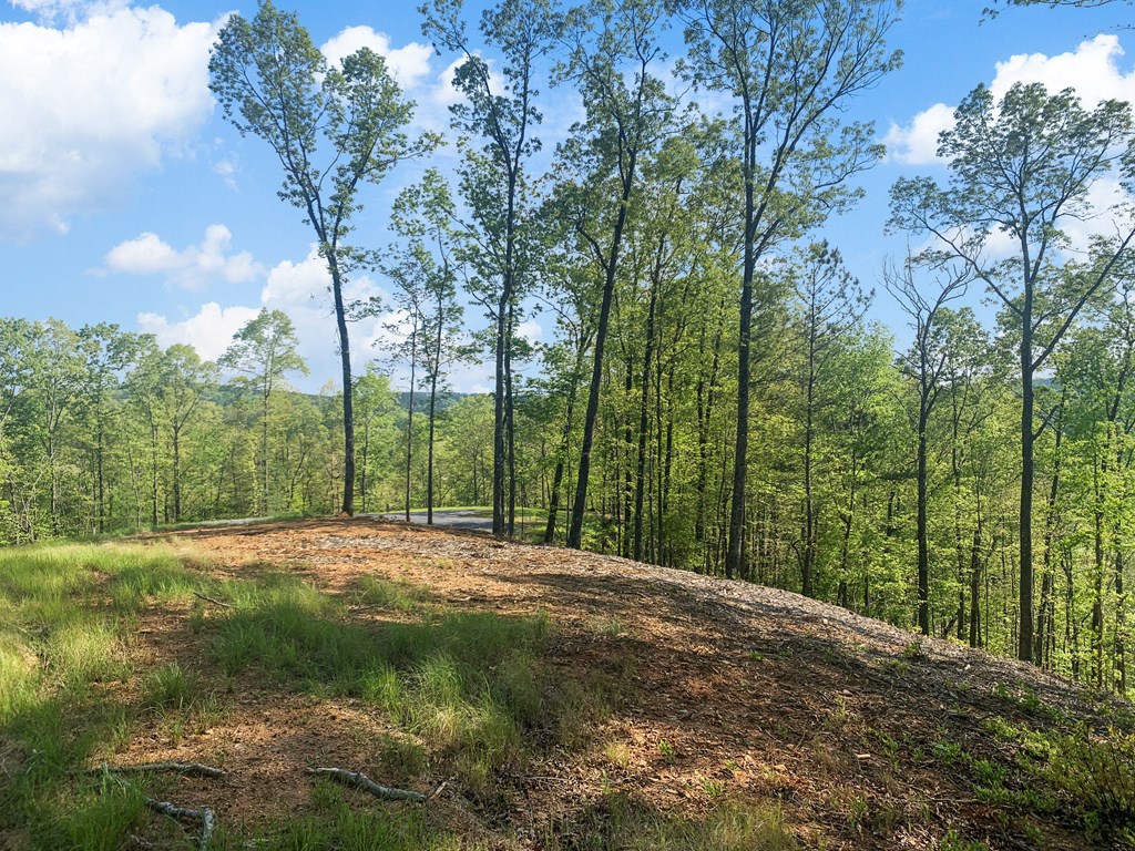 Ellijay, Georgia 30540, United States, ,Land,Active,59353