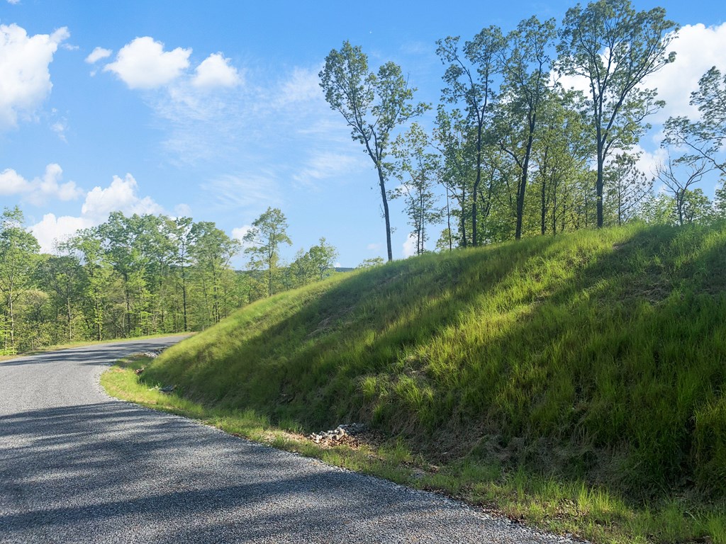 Ellijay, Georgia 30540, United States, ,Land,Active,59353