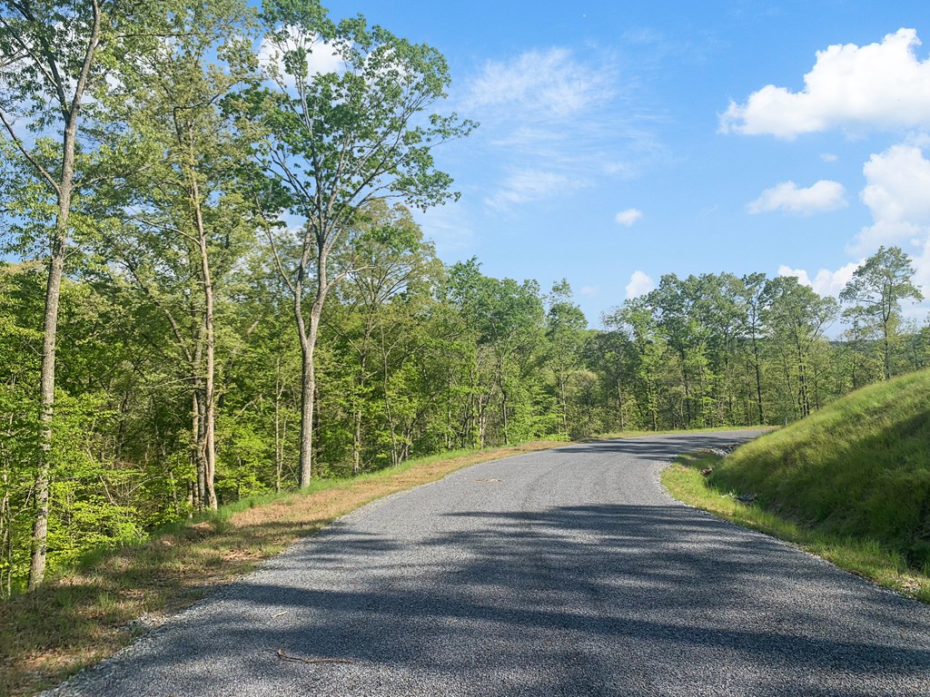 Ellijay, Georgia 30540, United States, ,Land,Active,59353