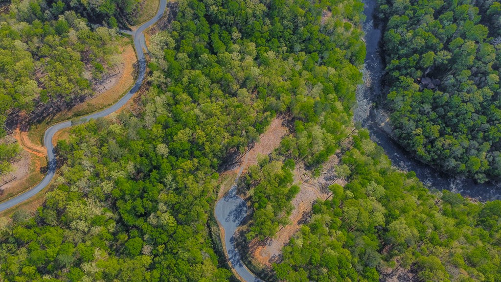 Ellijay, Georgia 30540, United States, ,Land,Active,59353