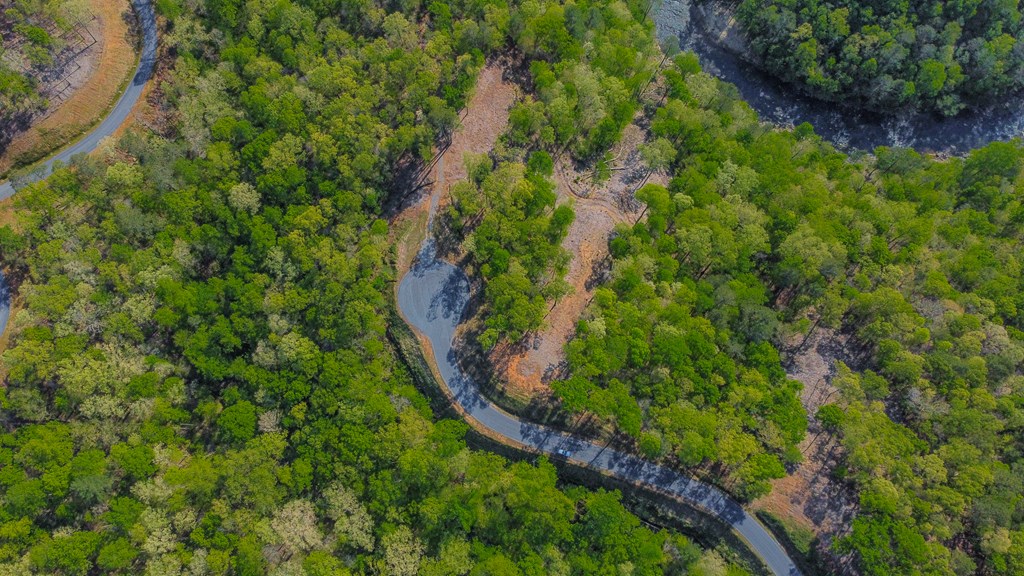 Ellijay, Georgia 30540, United States, ,Land,Active,59353