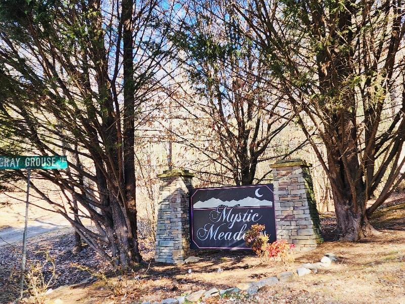 L17 Gray Grouse Trail