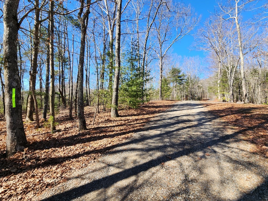 L17 Gray Grouse Trail