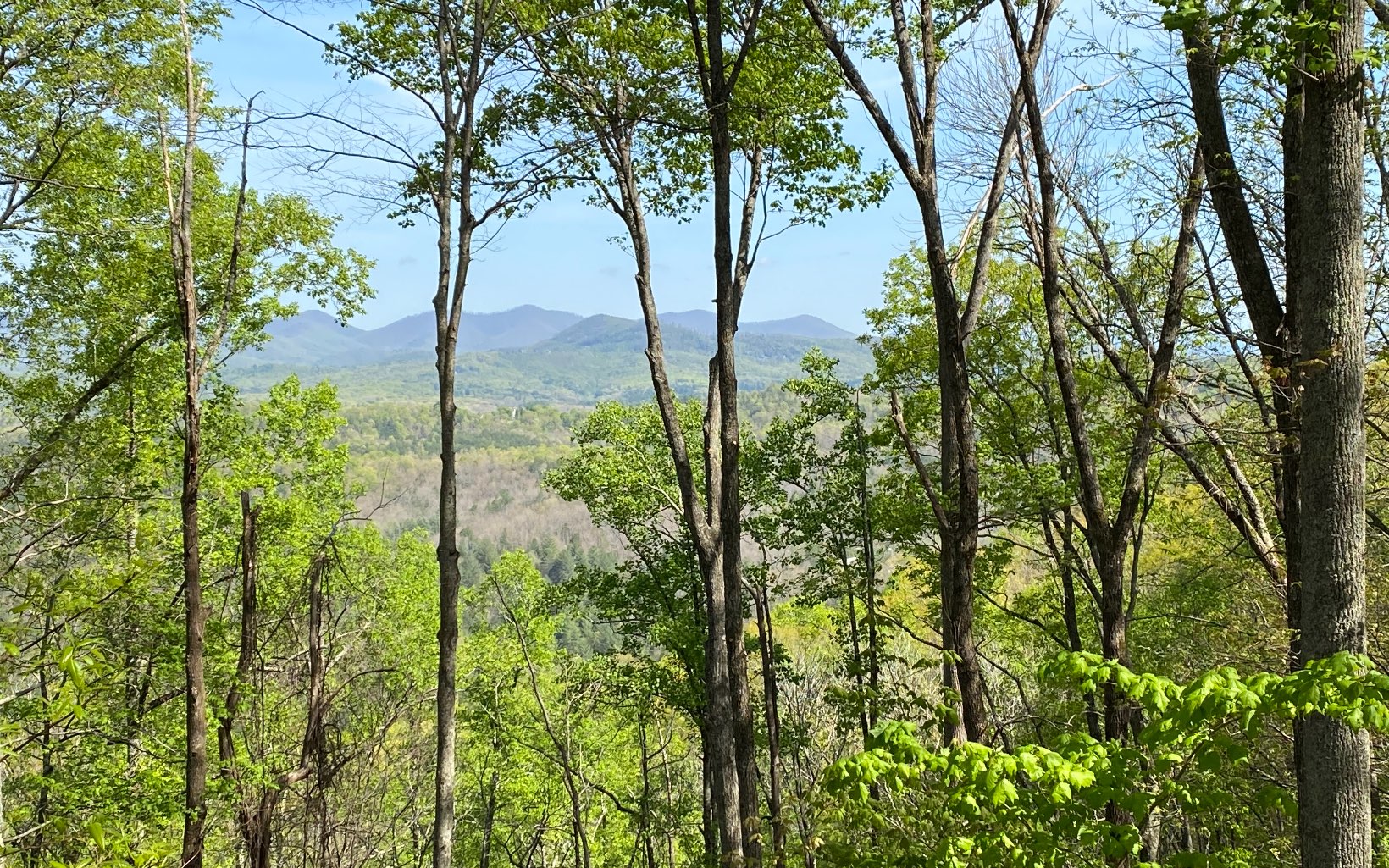 LOT19 Raven Ridge Circle