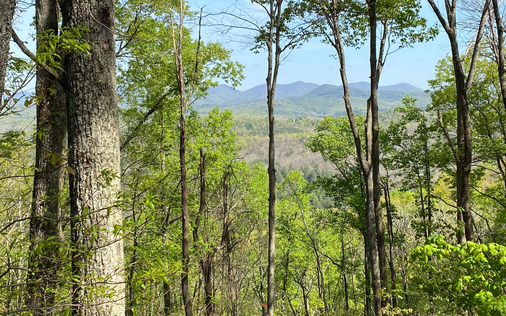 LOT19 Raven Ridge Circle