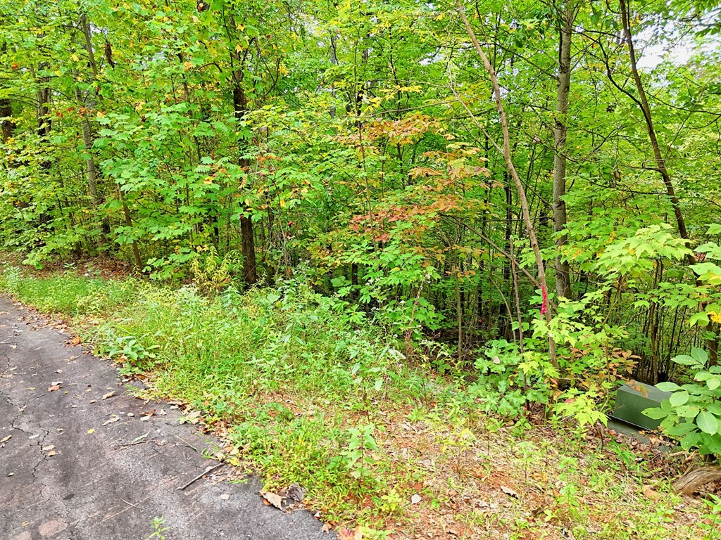 Lot 28 Skyview Drive