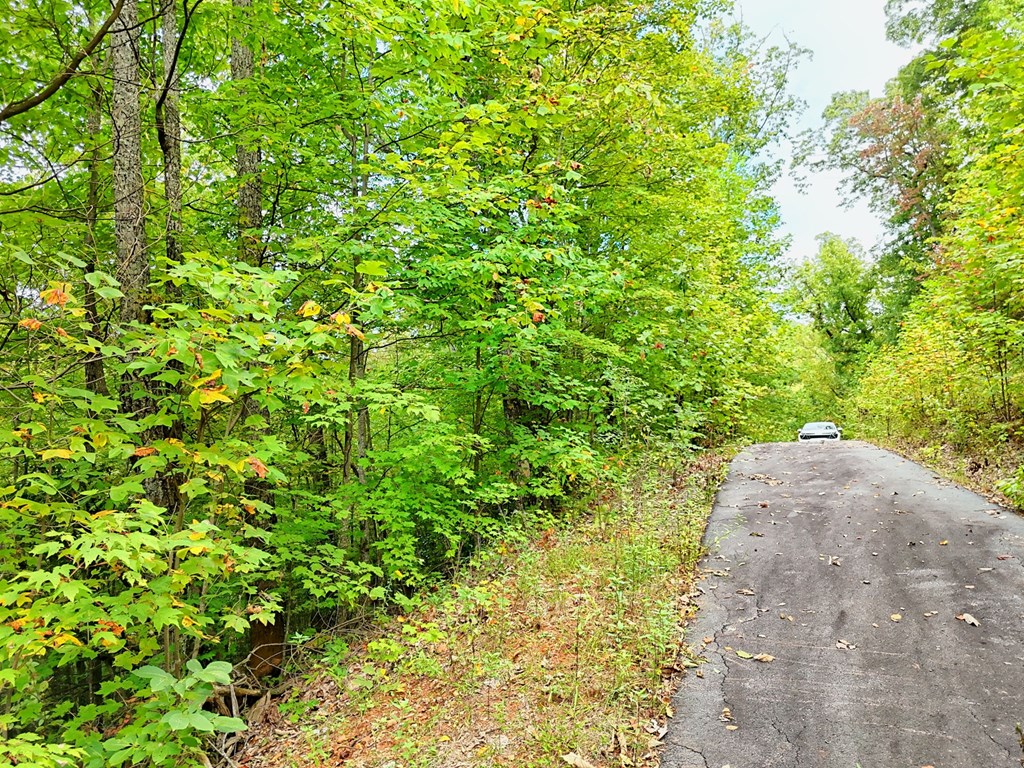 Lot 28 Skyview Drive