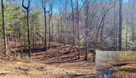 Lot 205 Windy Mountain Peak Lane Murphy NC 28906