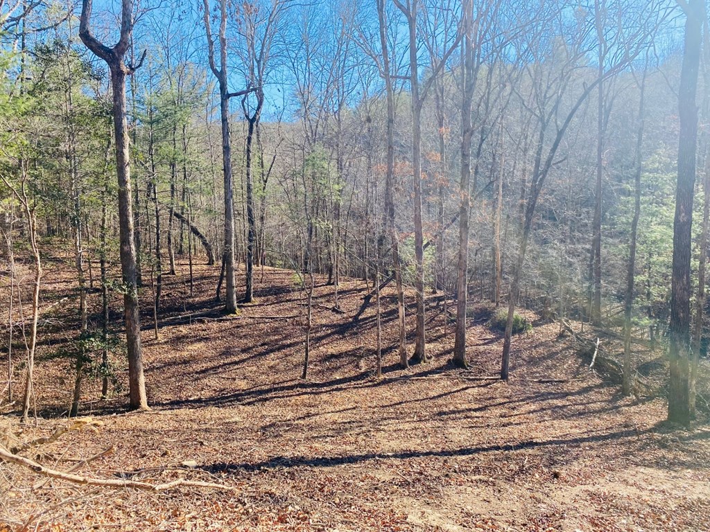 Lot 205 Windy Mountain Peak Lane