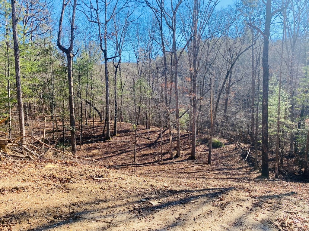Lot 205 Windy Mountain Peak Lane