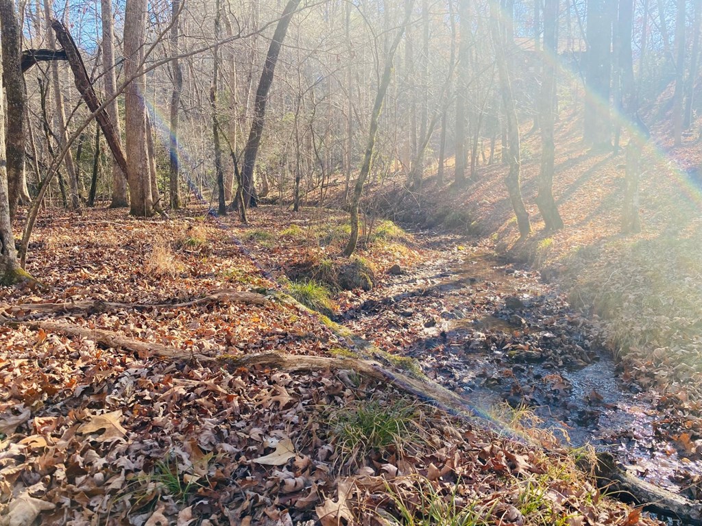 Lot 205 Windy Mountain Peak Lane