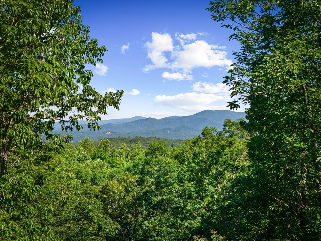 169 Walnut Mountain Road