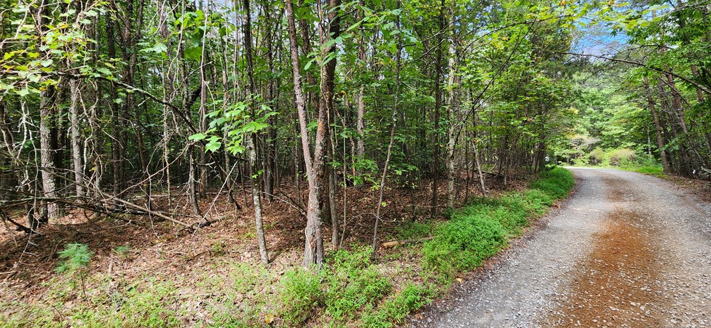 Lot 44 Old Mill Pond Road